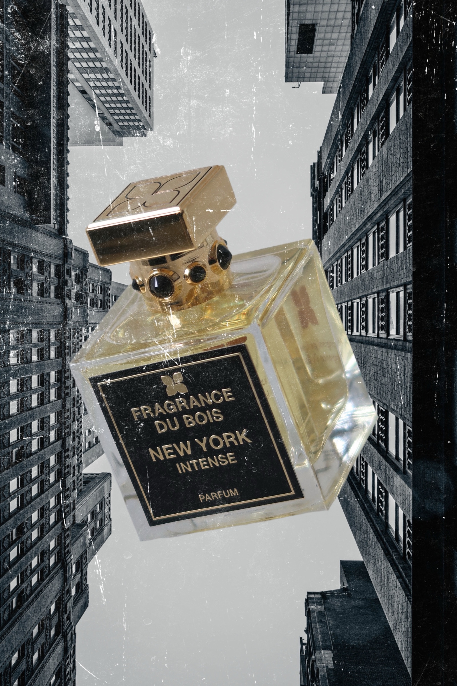 New York Intense – Fragrance Du Bois – BLU BLAZER GUY